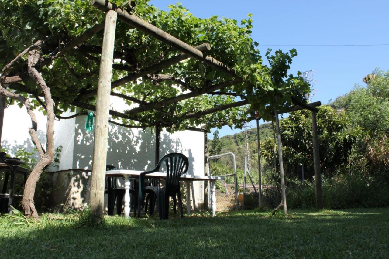 Casa La Maceta Holiday home *