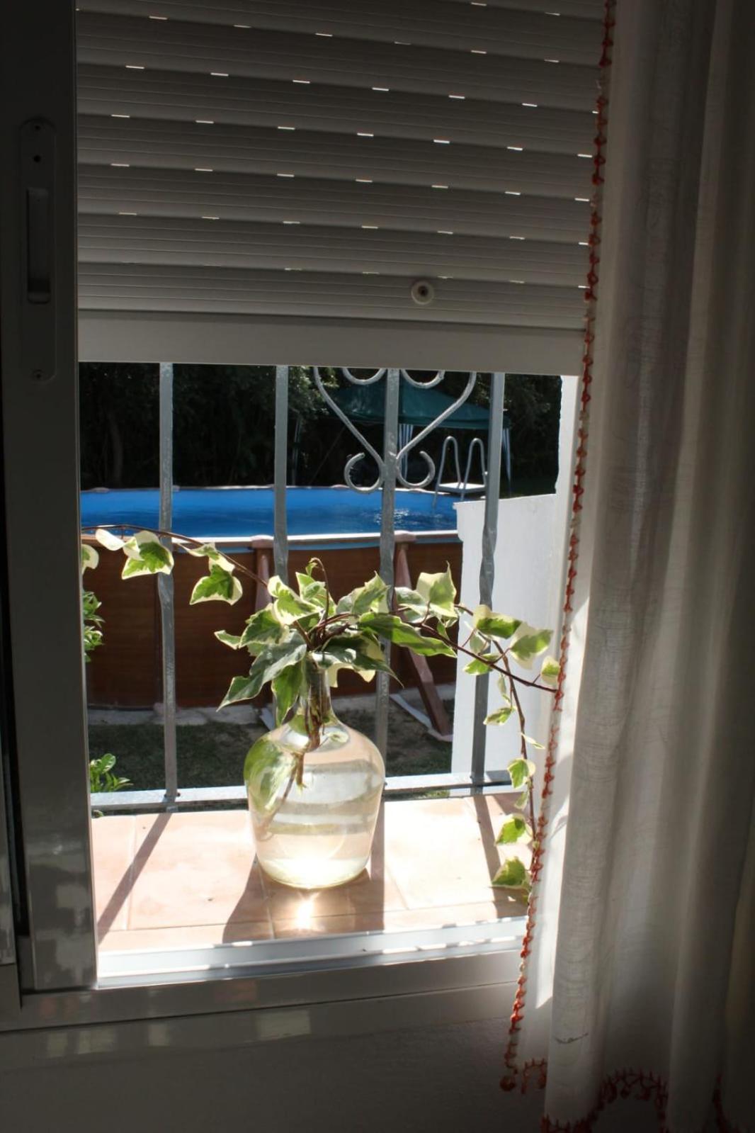 Casa La Maceta Holiday home Cadiz